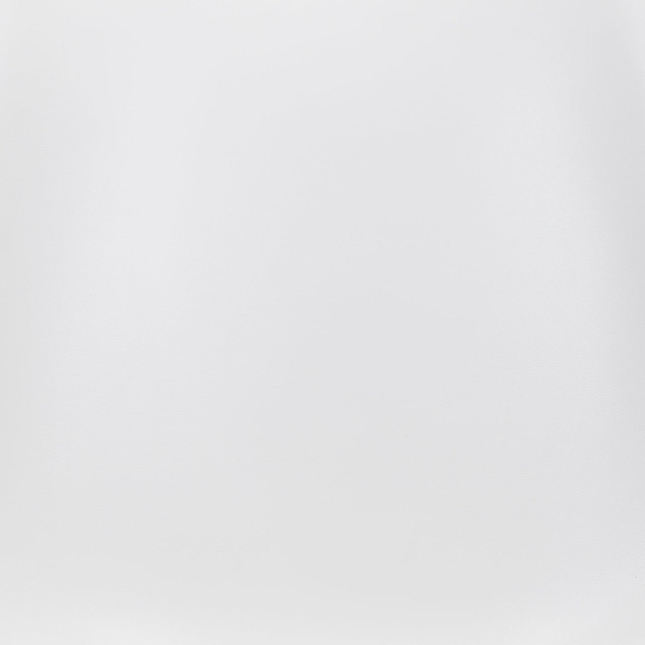 Ace Dining Chair (Set of 2) White & Silver