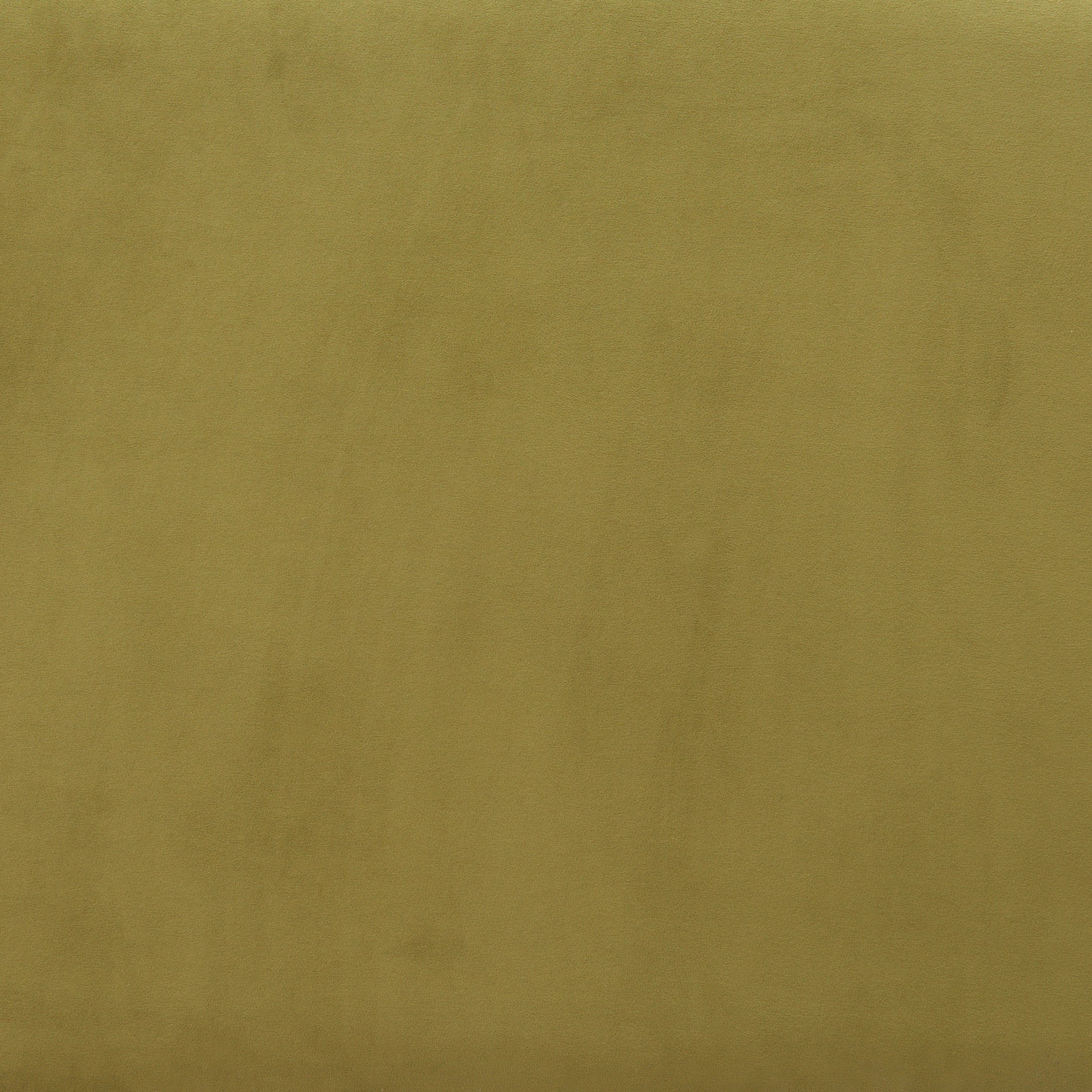 Biak Middle Chair Green