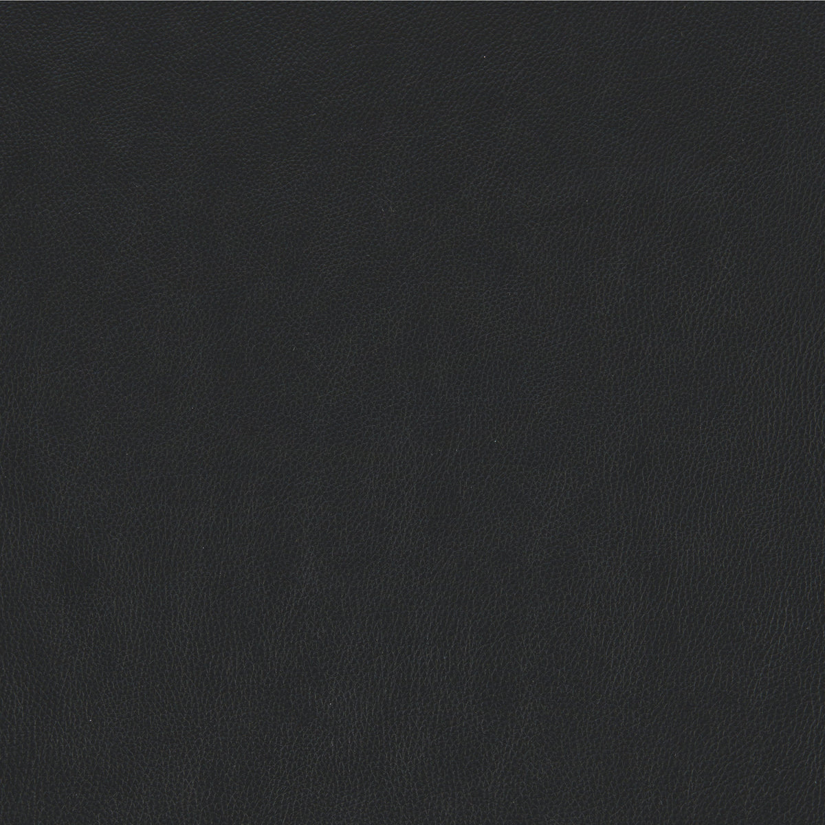 Ali Office Chair Black