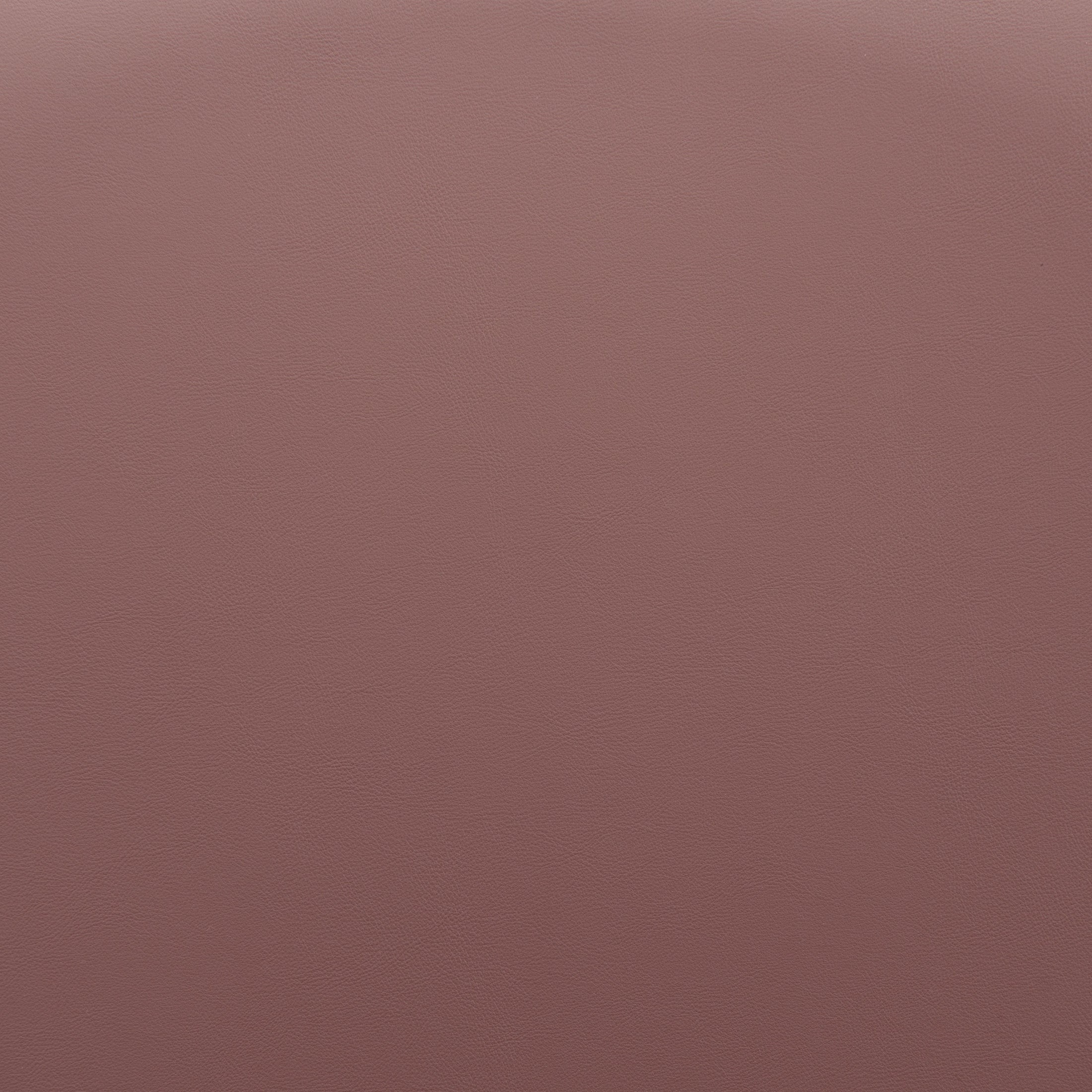 Elevate Barstool (Set of 2) Brown