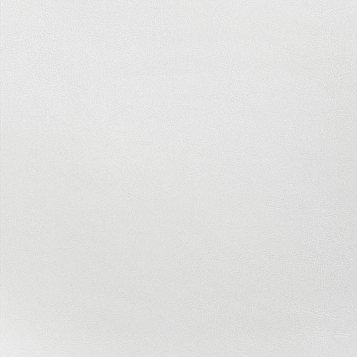 Desi Dining Chair (Set of 2) White