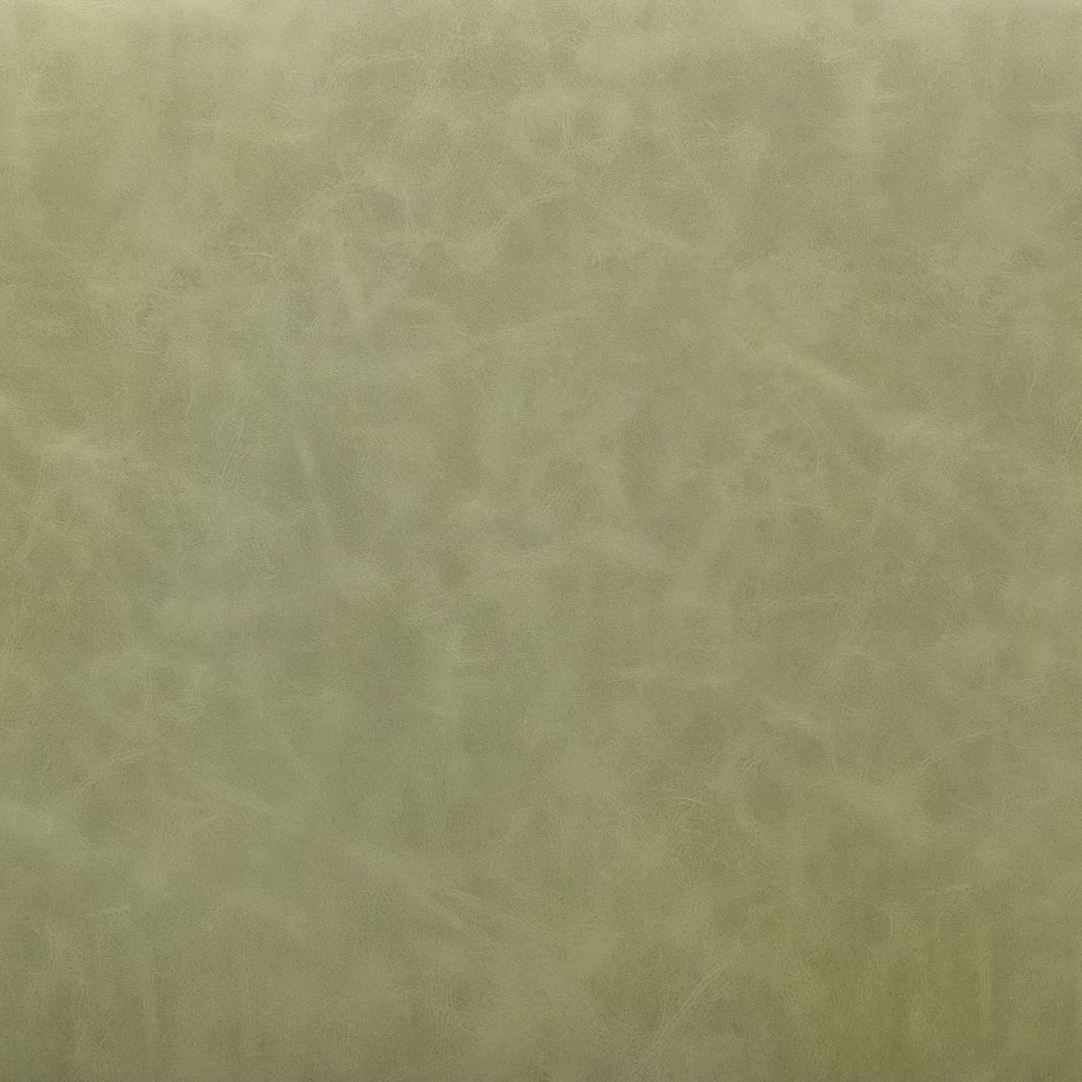 Charon Dining Chair (Set of 2) Green