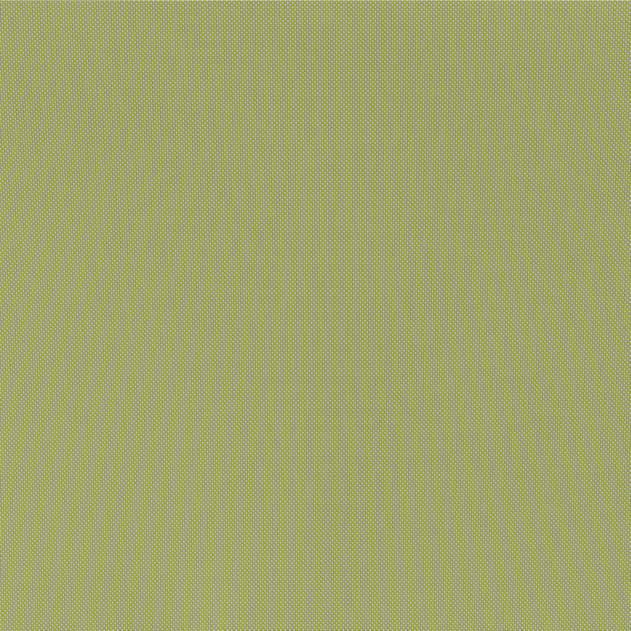 Lychee Armchair Green