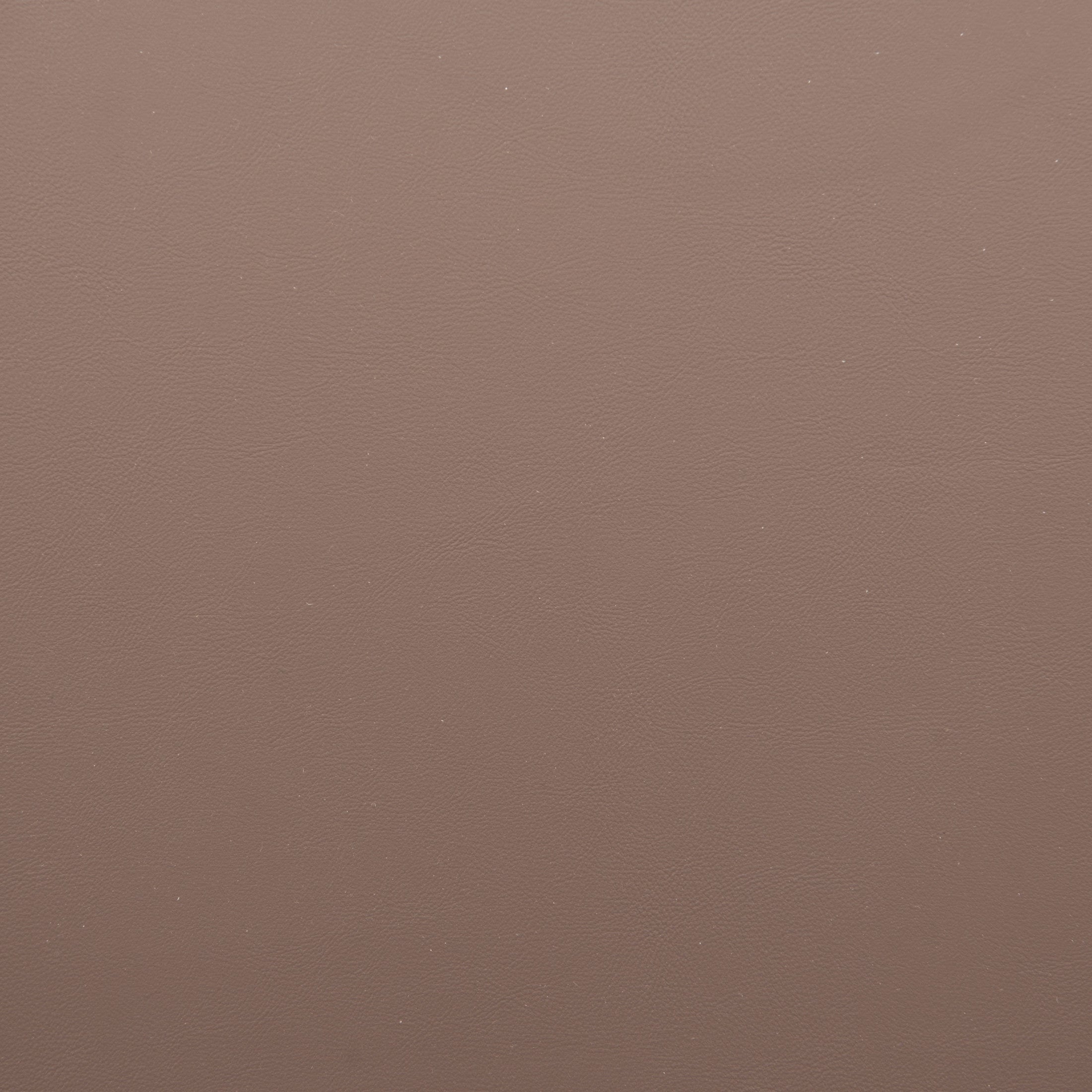 Pioro Dining Chair (Set of 2) Brown & Natural