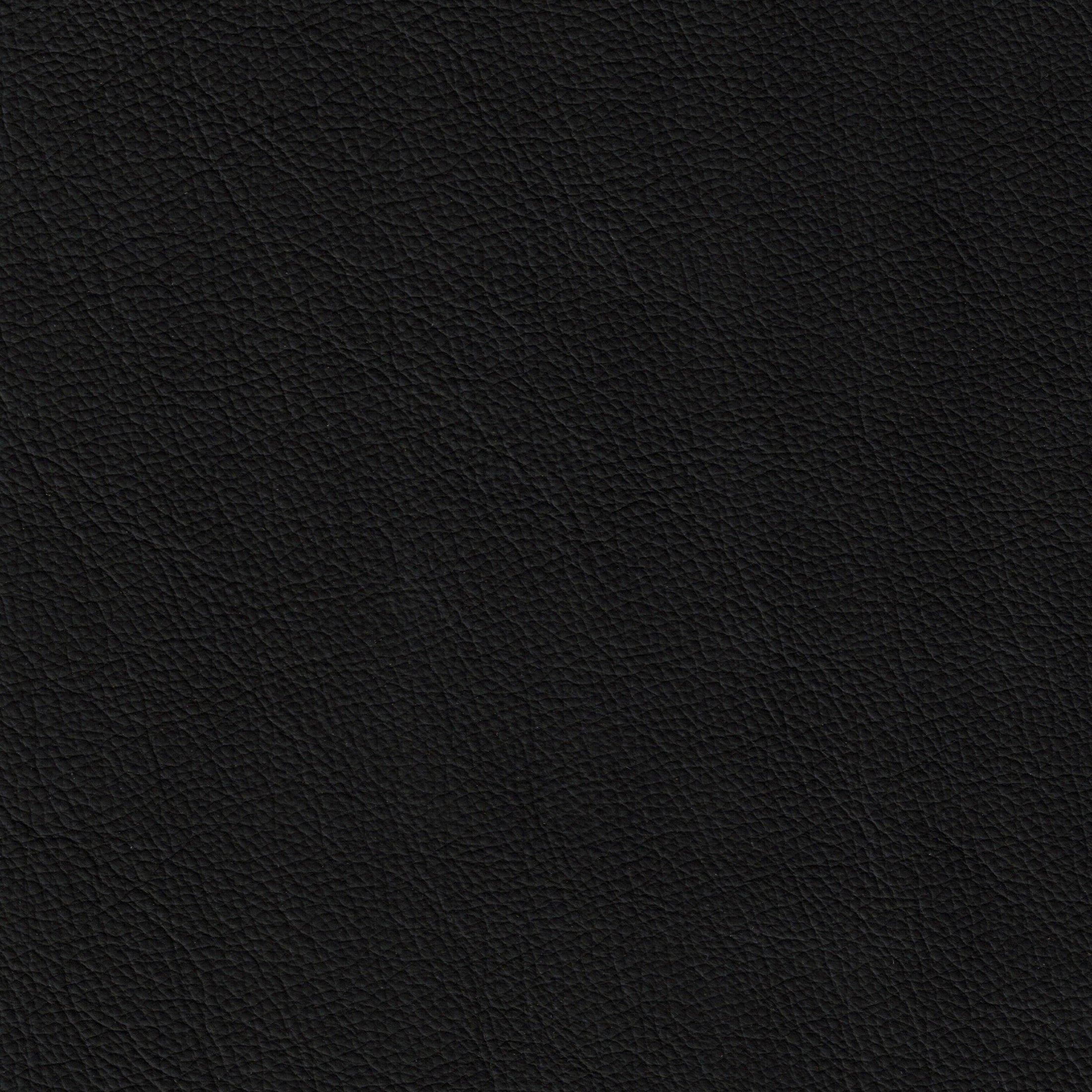 Portia Office Chair Black