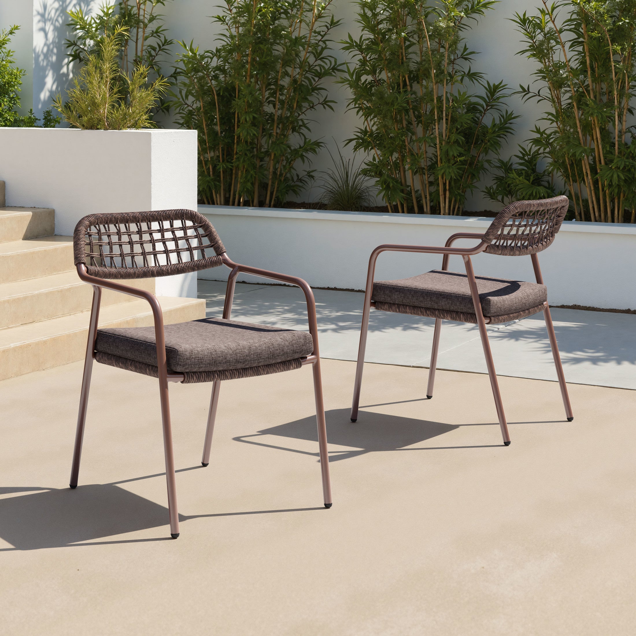 Rio Dining Chair (Set of 2) Brown